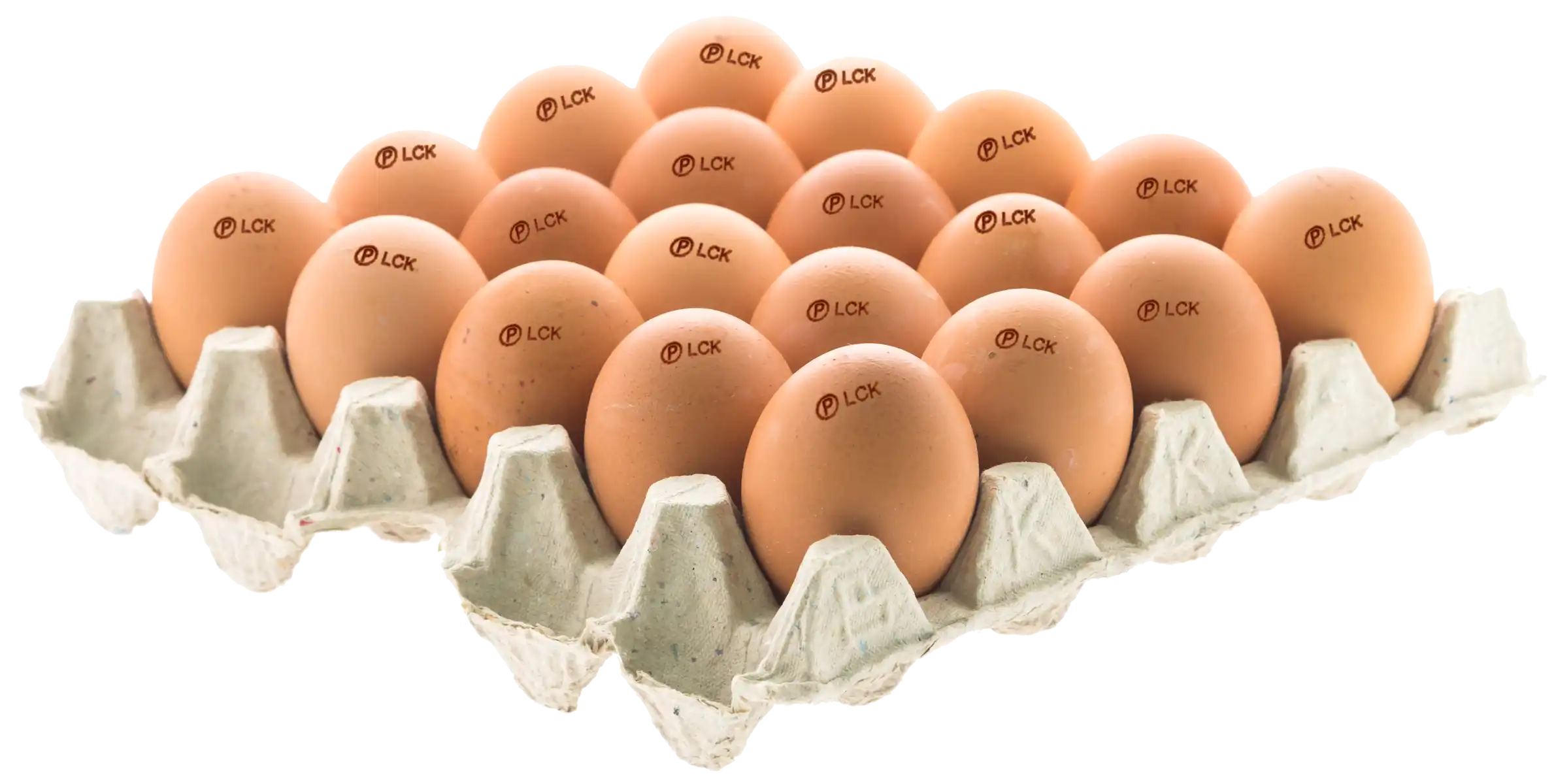 egg-mainpage